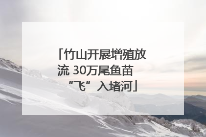 竹山开展增殖放流 30万尾鱼苗“飞”入堵河