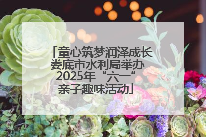 童心筑梦润泽成长 娄底市水利局举办2025年“六一”亲子趣味活动