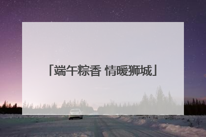 端午粽香 情暖狮城
