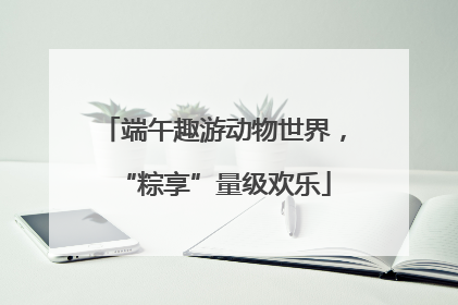 端午趣游动物世界，“粽享”量级欢乐