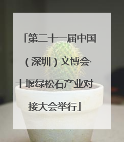 第二十一届中国（深圳）文博会·十堰绿松石产业对接大会举行