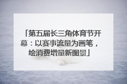第五届长三角体育节开幕：以赛事流量为画笔，绘消费增量新图景
