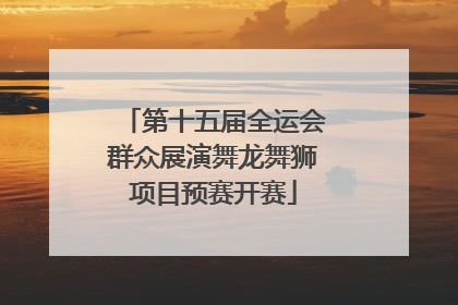 第十五届全运会群众展演舞龙舞狮项目预赛开赛