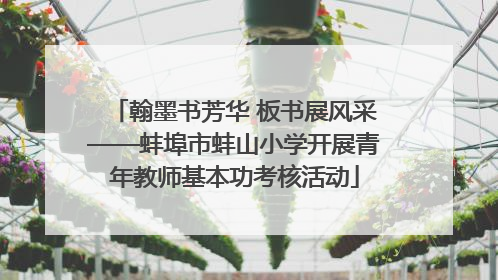 翰墨书芳华 板书展风采——蚌埠市蚌山小学开展青年教师基本功考核活动