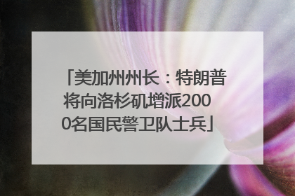 美加州州长：特朗普将向洛杉矶增派2000名国民警卫队士兵