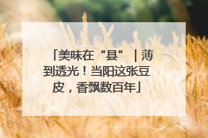 美味在“县”｜薄到透光！当阳这张豆皮，香飘数百年