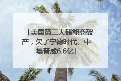 美国第三大储能商破产，欠了宁德时代、中集普威6.6亿
