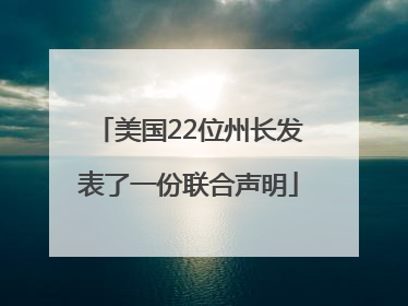 美国22位州长发表了一份联合声明