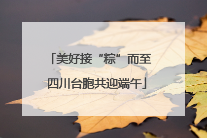 美好接“粽”而至 四川台胞共迎端午