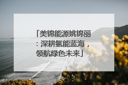 美锦能源姚锦丽：深耕氢能蓝海，领航绿色未来
