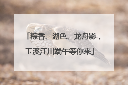 粽香、湖色、龙舟影，玉溪江川端午等你来