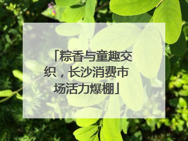 粽香与童趣交织，长沙消费市场活力爆棚