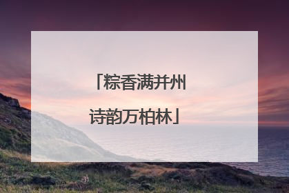 粽香满并州 诗韵万柏林