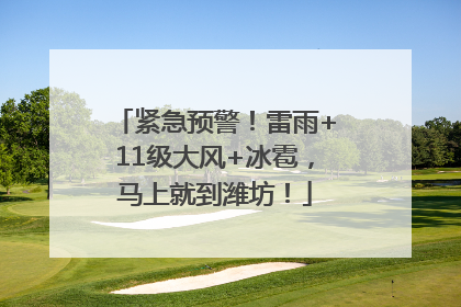 紧急预警！雷雨+11级大风+冰雹，马上就到潍坊！