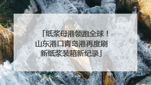 纸浆母港领跑全球！山东港口青岛港再度刷新纸浆装箱新纪录