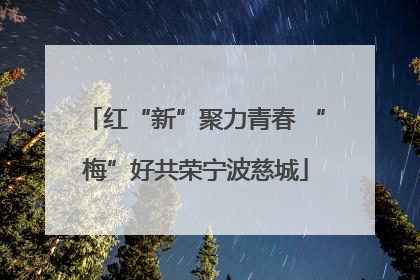 红“新”聚力青春 “梅”好共荣宁波慈城