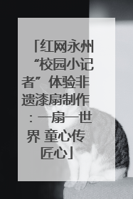 红网永州“校园小记者”体验非遗漆扇制作：一扇一世界 童心传匠心