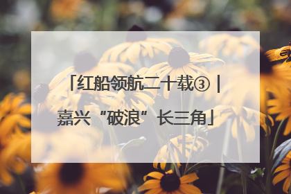 红船领航二十载③｜嘉兴“破浪”长三角