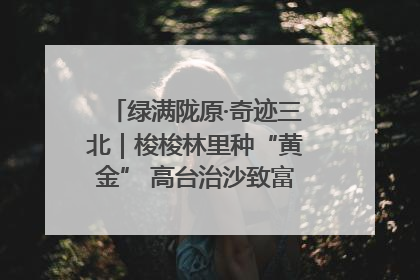 绿满陇原·奇迹三北｜梭梭林里种“黄金” 高台治沙致富很“从容”
