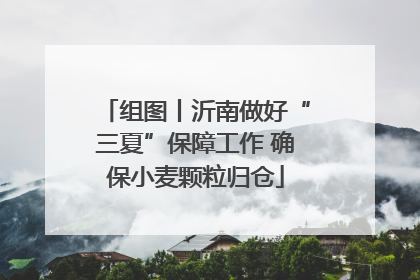 组图丨沂南做好“三夏”保障工作 确保小麦颗粒归仓