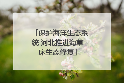 保护海洋生态系统 河北推进海草床生态修复