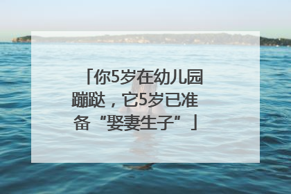 你5岁在幼儿园蹦跶，它5岁已准备“娶妻生子”