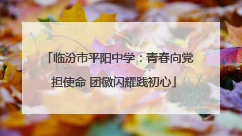 临汾市平阳中学：青春向党担使命 团徽闪耀践初心