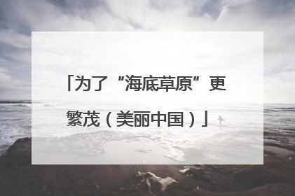 为了“海底草原”更繁茂（美丽中国）