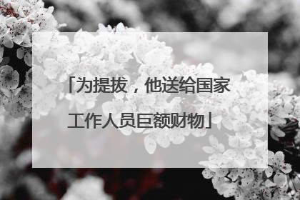 为提拔，他送给国家工作人员巨额财物