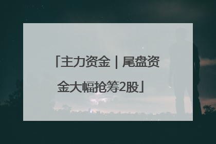 主力资金｜尾盘资金大幅抢筹2股