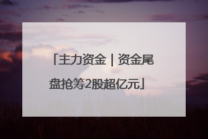 主力资金｜资金尾盘抢筹2股超亿元