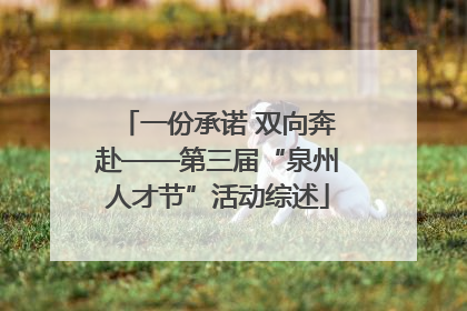 一份承诺 双向奔赴——第三届“泉州人才节”活动综述