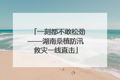 一刻都不敢松劲——湖南桑植防汛救灾一线直击