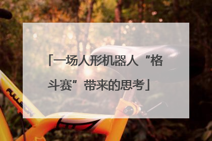 一场人形机器人“格斗赛”带来的思考