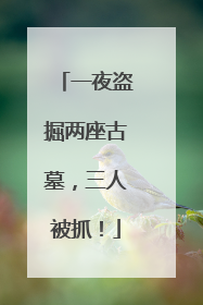 一夜盗掘两座古墓，三人被抓！