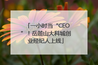 一小时当“CEO”！岳麓山大科城创业经纪人上线