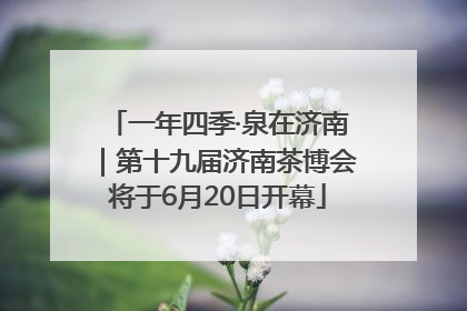 一年四季·泉在济南｜第十九届济南茶博会将于6月20日开幕