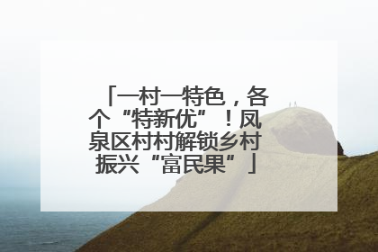 一村一特色，各个“特新优”！凤泉区村村解锁乡村振兴“富民果”