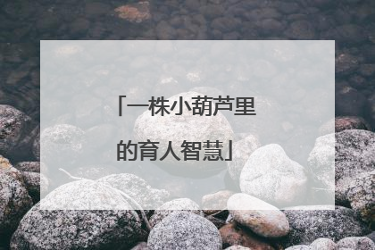 一株小葫芦里的育人智慧