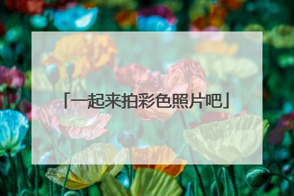 一起来拍彩色照片吧