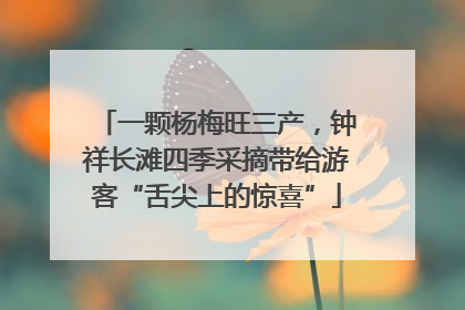 一颗杨梅旺三产，钟祥长滩四季采摘带给游客“舌尖上的惊喜”