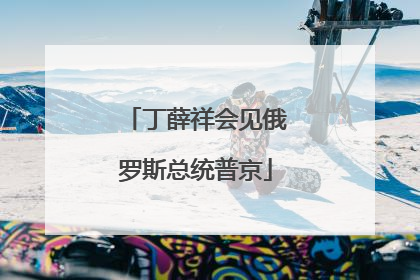 丁薛祥会见俄罗斯总统普京