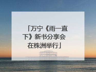 万宁《雨一直下》新书分享会在株洲举行