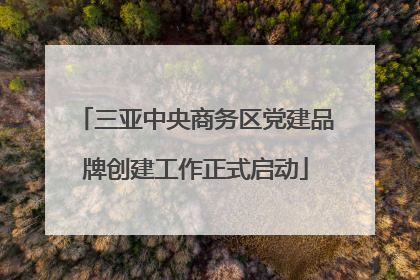 三亚中央商务区党建品牌创建工作正式启动
