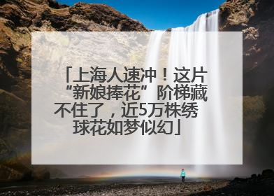 上海人速冲！这片“新娘捧花”阶梯藏不住了，近5万株绣球花如梦似幻