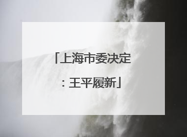 上海市委决定：王平履新
