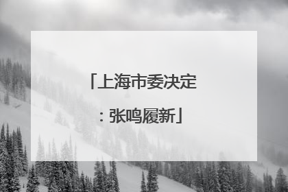 上海市委决定：张鸣履新