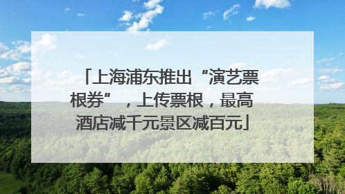 上海浦东推出“演艺票根券”，上传票根，最高酒店减千元景区减百元