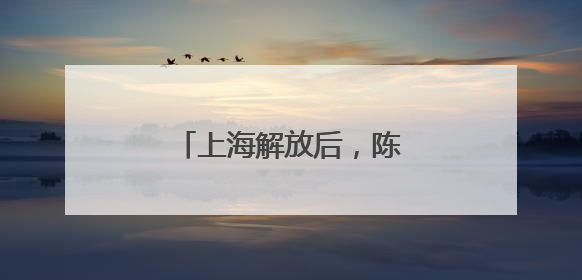 上海解放后，陈毅为何说上海只能算解放了一半？