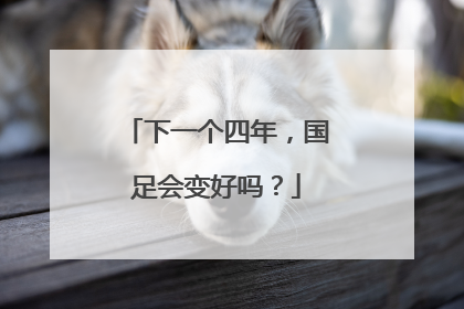 下一个四年，国足会变好吗？
